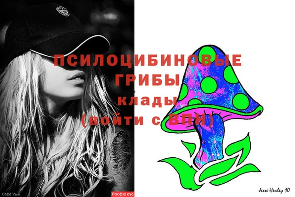 спайс Алзамай