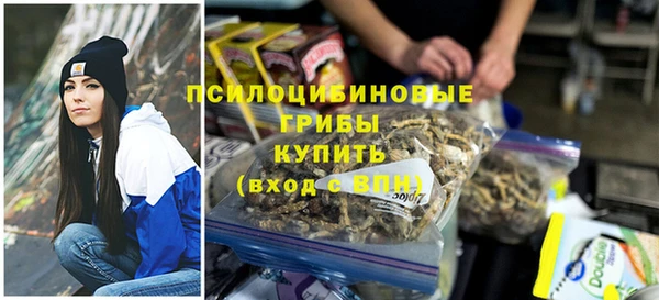 шишки Алексеевка